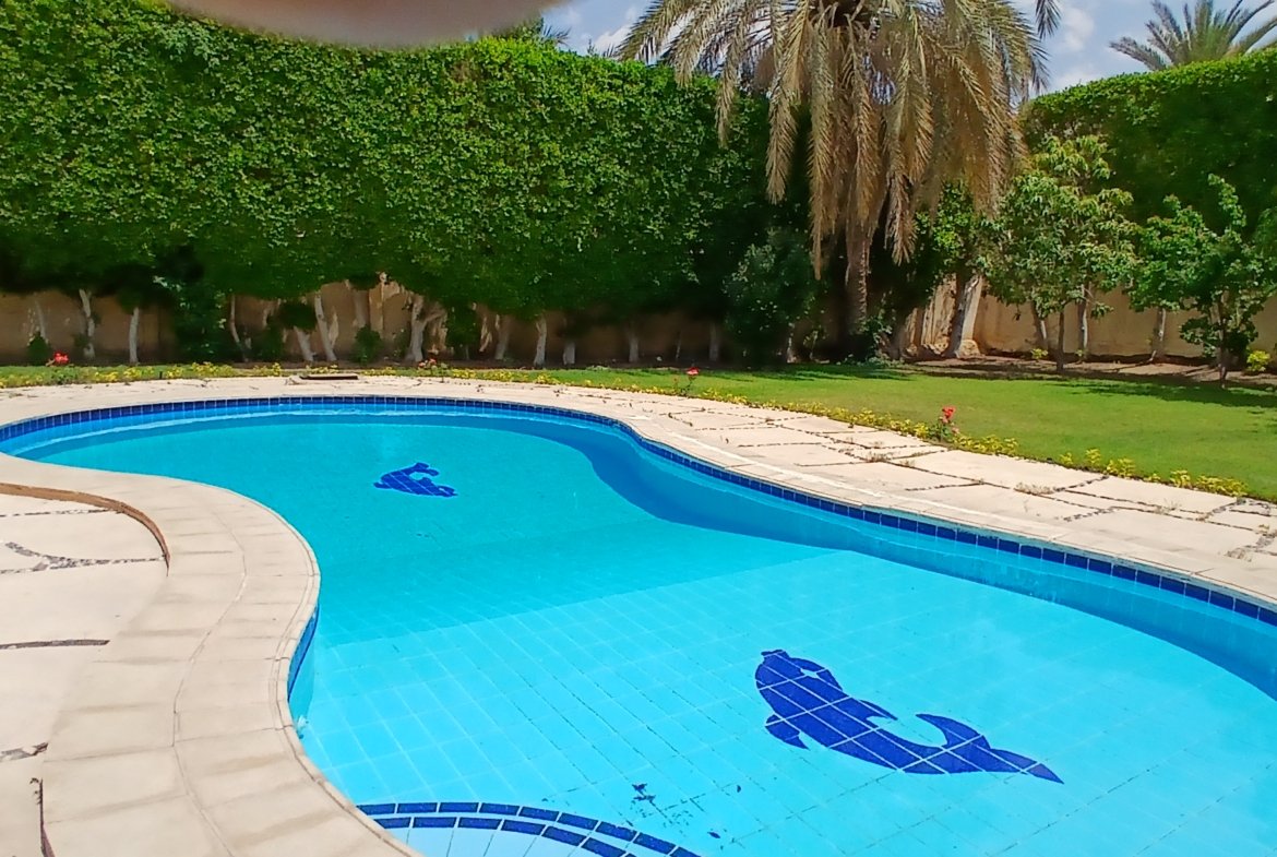 لؤلؤة الشروق