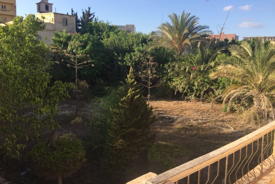 فيلا بالعجمي ابو يوسف بسعر شقه خطوات من البحر ارض ٦٢٠ م٢ ، جميع الخدمات ، منطقه آمنه و راقيه جدا