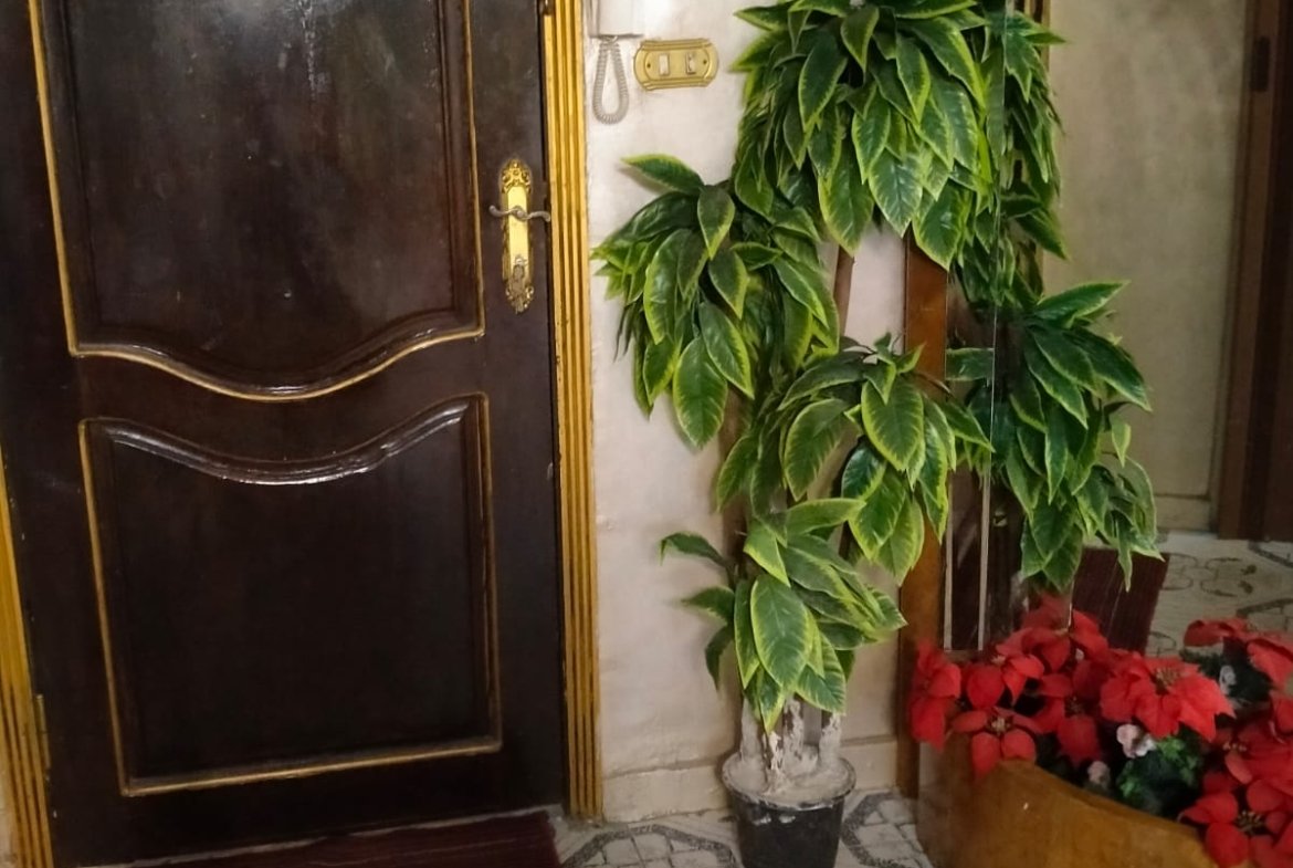 منشية البكرى